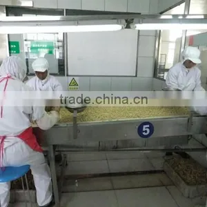 High Demand Export Products Fried and Salted Peanuts Canned Roasted Salted Peanuts thumbnail-5