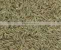 Cumin Seeds thumbnail-1