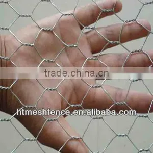 SS Chicken Wire Netting thumbnail-1
