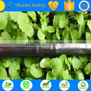 Wholesale Good Quality PE Material Automatic Irrigation System PE Tape for Crops thumbnail-1