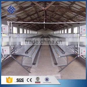 30 Years' Factory Supply Automatic Chicken Cage thumbnail-4