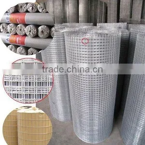 Welded Wire Mesh/ Galvanized Welded Wire Mesh Cheap thumbnail-2