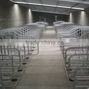 Hot Sales Gestation Stalls for Pigs thumbnail-6