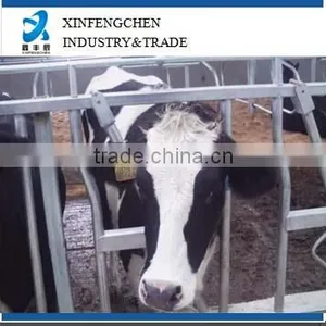 Cattle Head Gate thumbnail-1