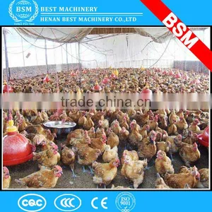 Livestock Equipment 3kg Plastic Chicken Feeder Poultry Chicken Feeder thumbnail-3