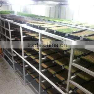 BK Conveyor Culture thumbnail-4