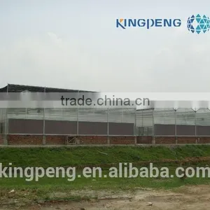 Multi Span Polycarbonate Sheet Greenhouse thumbnail-3