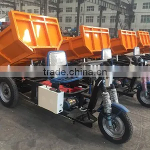 3 Wheels Adult Electric Tricycle For Cargo From China Manufacturer thumbnail-1