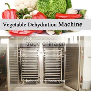 Vegetable Dehydration Dying Machine thumbnail-1