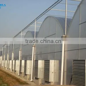 Commercial Plastic Hoop Vegetable Greenhouse thumbnail-2