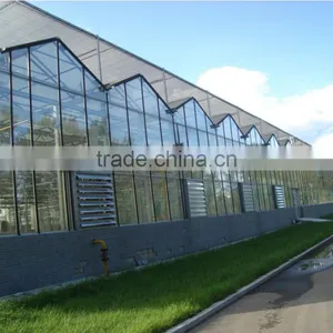 The Cheapest Agricultural/Commercial Glass Greenhouse thumbnail-1
