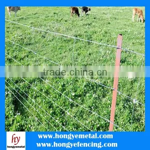 Cattle Fence Post thumbnail-2