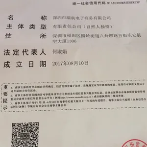 Shenzhen Rise E-commerce Co.,Ltd. company overview - view 1 thumbnail