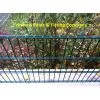 Fence thumbnail-1