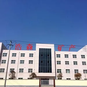 Lianyungang Haosen Mineral Products company overview - view 1 thumbnail