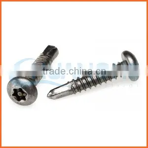 China Supplier Stainless Steel Torx Truss Head Anti-theft Screw thumbnail-3
