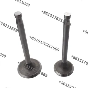 China Factory Supply S195, S1100, S1105, S1110, S1115, S1125 Diesel Engine Valve Kit thumbnail-4