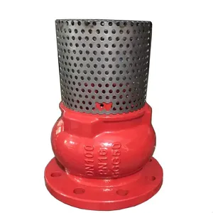 API 598 Tested Ductile Iron Foot Valve With SS304 Screen 65-45-12 Grade thumbnail-2