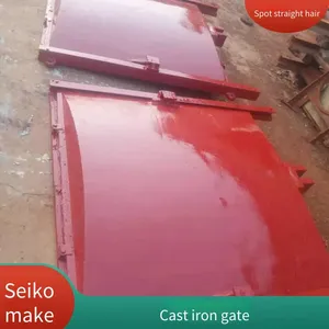 Factory Sale of Cast Iron Gates, 2*2 Meters, River Gates, Steel Gates for Reservoirs thumbnail-3