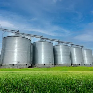 Flat-bottom Silo thumbnail-1