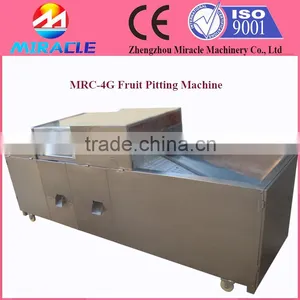 Fast Delivery Date Palm Core Seed Removing Machine From Fruit Process thumbnail-3