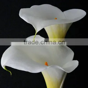 New Stylish Calla Lily Flower for Decor thumbnail-1