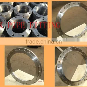 Blind Flange DIN 2527 PN 16 TSTE355 thumbnail-1