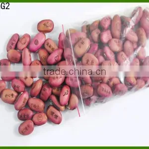 Message Red Beans Magic Bean With Words thumbnail-1