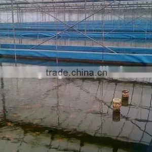 Indoor Fish Farming System thumbnail-1