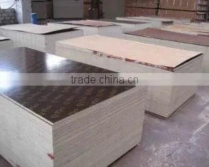 Shouguang Shuanglin Wood Co., Ltd. company overview - view 2 thumbnail