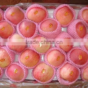 Fuji Apples thumbnail-1