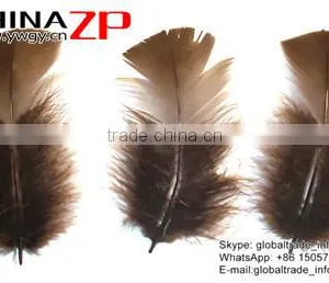 ZPDECOR Unique Plumage Crafts Factory Bulk Dyed Brown Turkey T-Base Body Feathers for Sale thumbnail-2