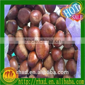 2015 Health Food Almonds/peeled Chestnuts for Sale/roasted Chestnuts thumbnail-1