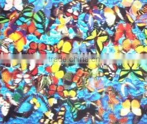 Plastic Table Plate Mat, Hot Food Table Mat, 3D Lenticular Printing Dining Table Mat thumbnail-4