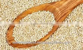 FRESH INDIAN QUINOA CERTIFIED BY KOSHER, GMP, HALAL, ISO22000, FDA thumbnail-2
