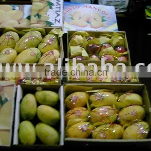 All Top Varities Of Mangoes thumbnail-1