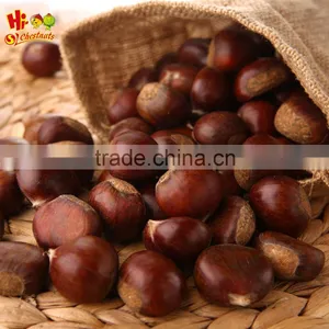 Best Chinese New Crop Fresh Organic Chestnut thumbnail-1
