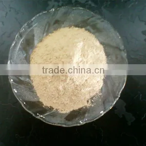 PURE AD DRY GARLIC POWDER FROM INDIA thumbnail-1