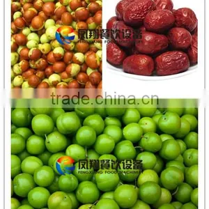Spray Type Fruit/Melons/Vegetable Washing Machine With Roller Brushes thumbnail-6