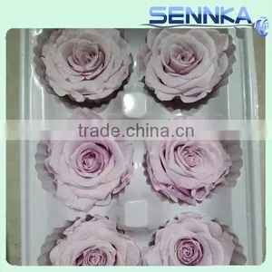 Natural Real Touch Flower Rose 2-3cm Flower Rose Head Preserved Fresh Flower thumbnail-3