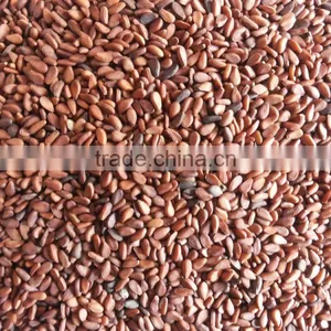 Best Quality Brown Sesame thumbnail-1