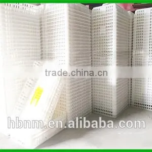 2017 Best Price Plastic Chicken Transport Cage for Poultry Farms thumbnail-6