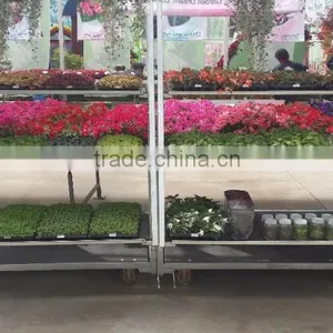 Flower Rolling Display Cart / Steel Rolling Trolley thumbnail-1