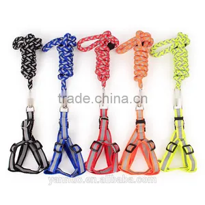 Sport Dog Harness Set Toy Braided Rope Hunting Dog Collar Wholesale thumbnail-2