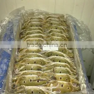 Frozen Crab Whole thumbnail-2
