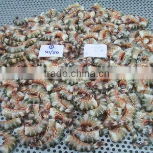 Frozen Cat Tiger Shrimps thumbnail-2