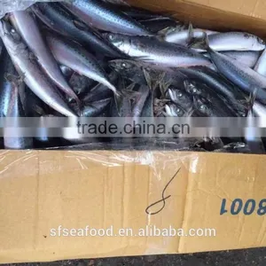 Cat Food Thailand of Pacific Mackerel thumbnail-1