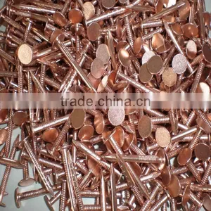Large Head Nails thumbnail-1