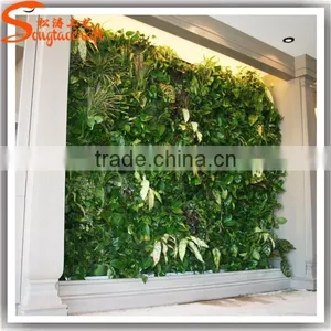 Guangzhou Songtao Supplier Artificial Green Wall Fake Plastic Green Wall thumbnail-1