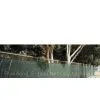 Protective Net thumbnail-1